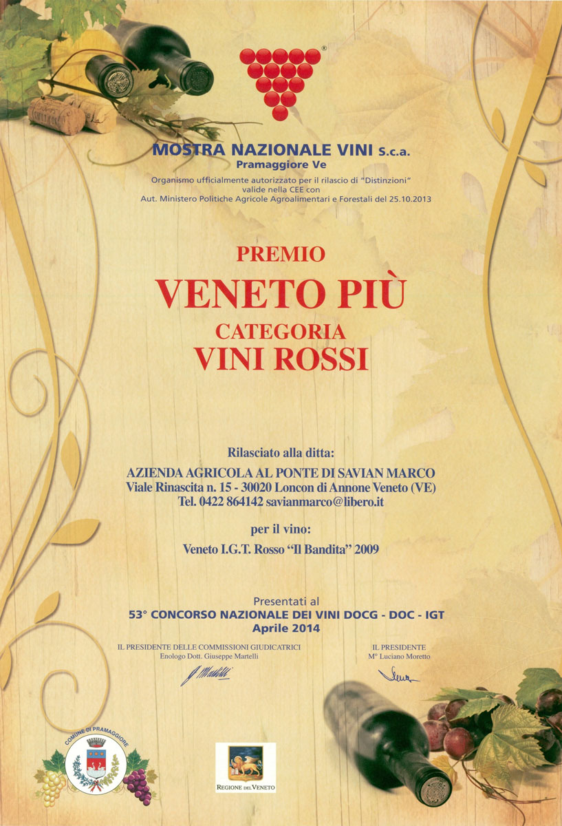 VenetoPiu2014