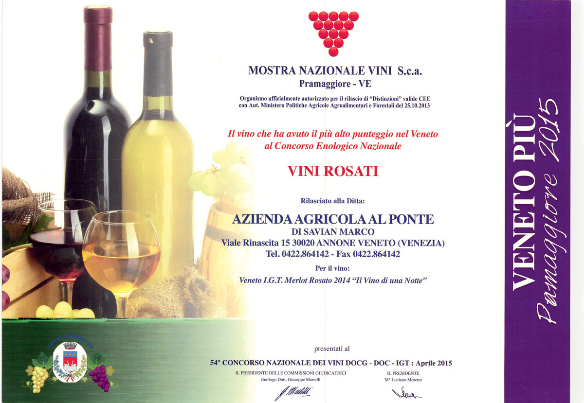 VenetoPiu2015